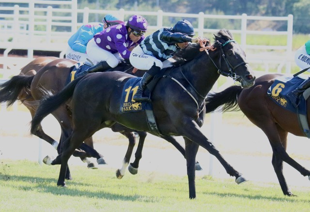 729ba32b afe6 4c37 bb36 8f40c17619cb 1