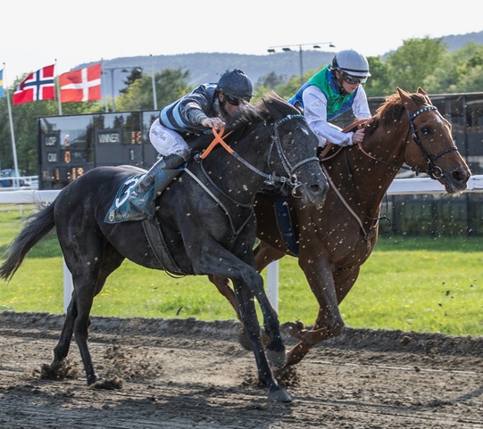 Buckyboy Global Gathering T3I9352 2