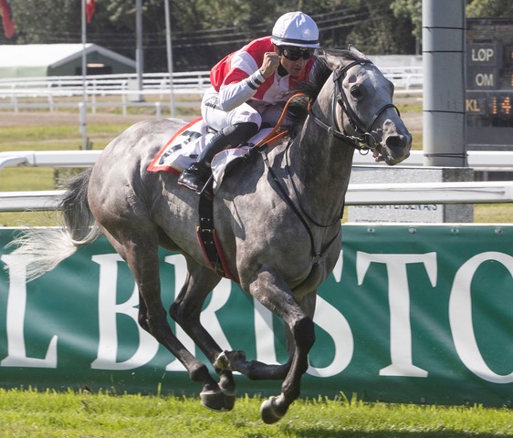 Duca di Como S8I4624