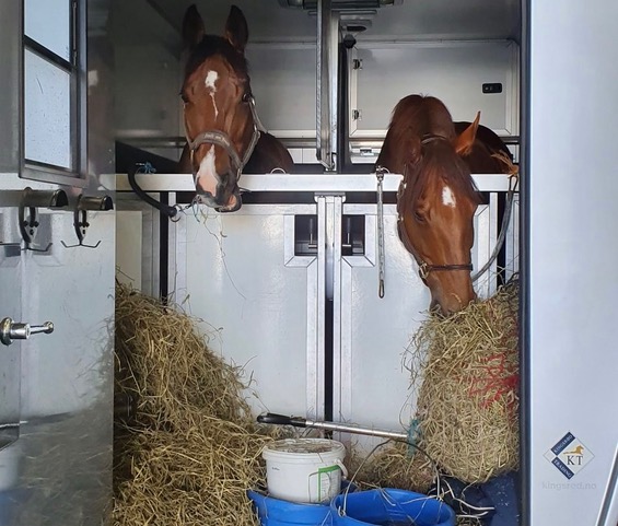 Resized 20230428 155036