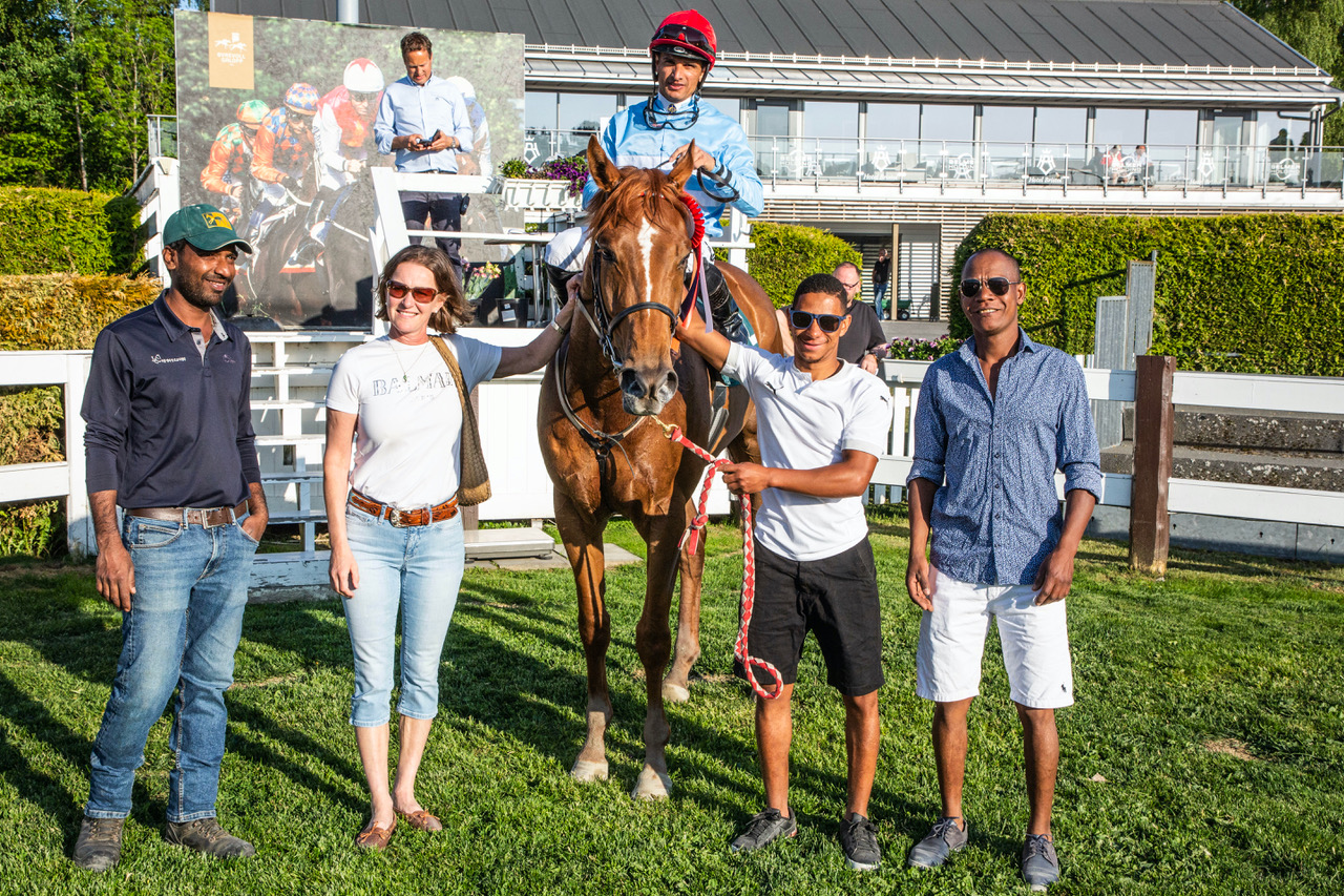 Royal Biscuit paddock K6A2076