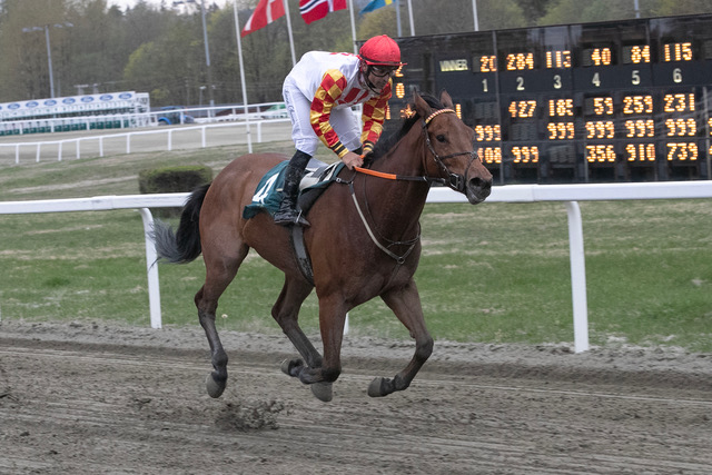 Single Cash S8I8244 1