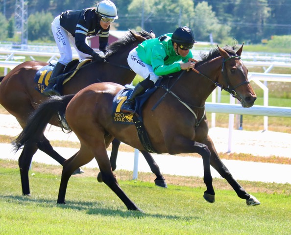 b813483c 0f0c 4951 806f 7df03c7c09b7